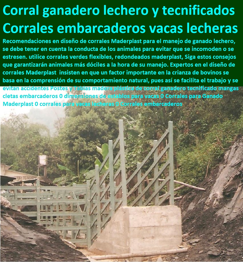 Embarcaderos Cargaderos De Ganado Embarcadero Fijo Portátil Móvil 0 Embarcadero de ganado manual 0 embarcadero para ganado medidas 0 Embarcaderos portátiles sobre chasis 0 desembarcaderos portátiles Maderplast 0 Embarcadero Fijo 00 Embarcaderos Cargaderos De Ganado Embarcadero Fijo Portátil Móvil 0 Corral Caballerizas, Pesebreras De Caballos, Plaza Toros, Brete Ganadero, Apretaderos Embarcaderos, Postes Tablas, Polines Varetas, Mangas De Coleo, Horcones Madera Plástica, Corrales, Establos De Ganado, Mangas De Coleo, Embarcadero de ganado manual 0 embarcadero para ganado medidas 0 Embarcaderos portátiles sobre chasis 0 desembarcaderos portátiles Maderplast 0 Embarcadero Fijo 00